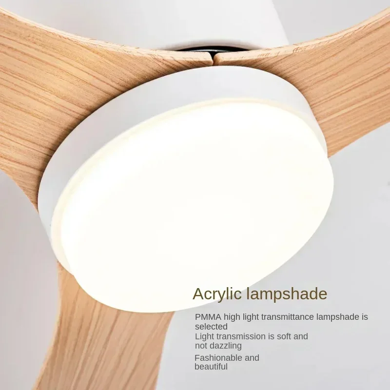 Lumières de ventilateur de pla - Decor Lighting Ceiling Fans avis et prix
